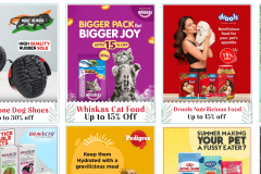 marshallspetzone.com